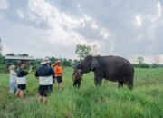 LindungiHutan dan Taman Nasional Way Kambas Tingkatkan Konservasi dan Pemberdayaan Masyarakat