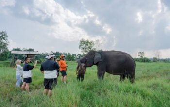 LindungiHutan dan Taman Nasional Way Kambas Tingkatkan Konservasi dan Pemberdayaan Masyarakat