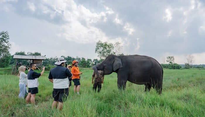 LindungiHutan dan Taman Nasional Way Kambas Tingkatkan Konservasi dan Pemberdayaan Masyarakat