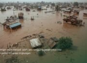 Menutup Tahun, LindungiHutan Dorong Solusi Berbasis Alam Hadapi Tantangan Iklim