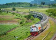 KAI Daop 1 Jakarta Catat Enam Kejadian Pohon Tumbang Sepanjang 2025, Seluruhnya Berhasil Ditangani dengan Cepat