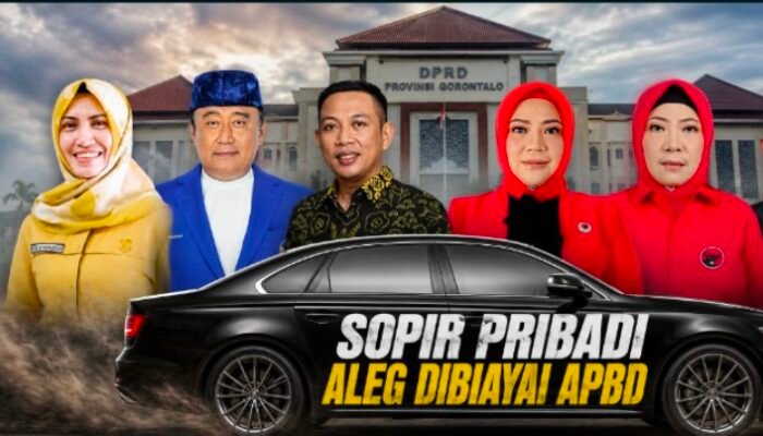 Sun Biki Akui Sopir Pribadi Digaji Dari APBD, Sejumlah Aleg Deprov Kompak Berkilah