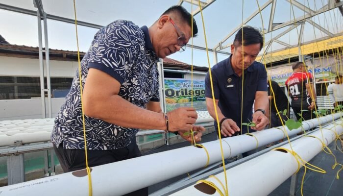 Canangkan Green House, Lapas Gorontalo Latih Warga Binaan Belajar Pertanian Modern