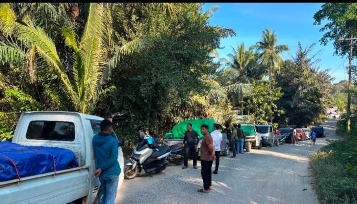Polisi Sikat Lima Mobil Pikap Angkut Solar Subsidi, 200 Galon Diamankan di Pohuwato
