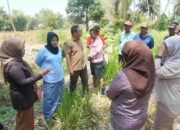 Komisi III DPRD Provinsi Gorontalo Tinjau Tanggul Sungai Bionga, Dorong Solusi Permanen Sesuai Standar Teknis