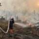 BMKG Deteksi Asap Karhutla Kalimantan hingga Jakarta, Banten, dan Jabar
