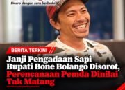 Janji Pengadaan Sapi Bupati Bone Bolango Disorot, Perencanaan Pemda Dinilai Tak Matang