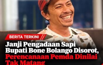 Janji Pengadaan Sapi Bupati Bone Bolango Disorot, Perencanaan Pemda Dinilai Tak Matang